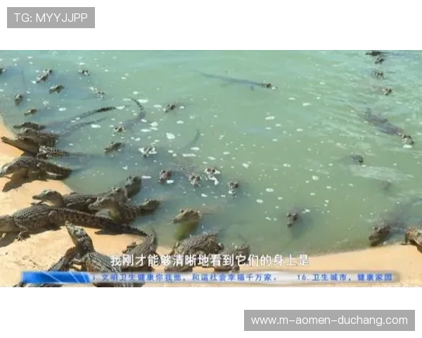 巴黎人官网直营，专业团队为您提供一站式服务，打造极致的娱乐体验