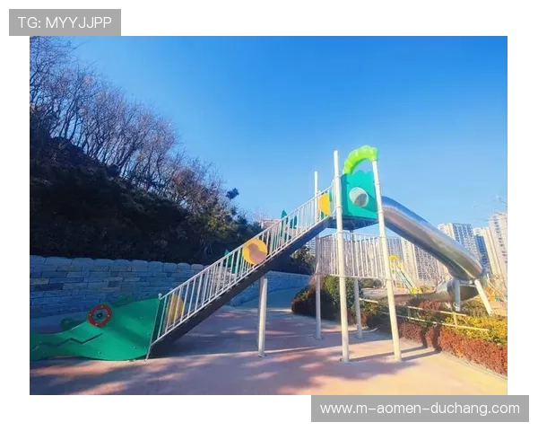 总统娱乐场：满足不同客户需求的多元化娱乐项目