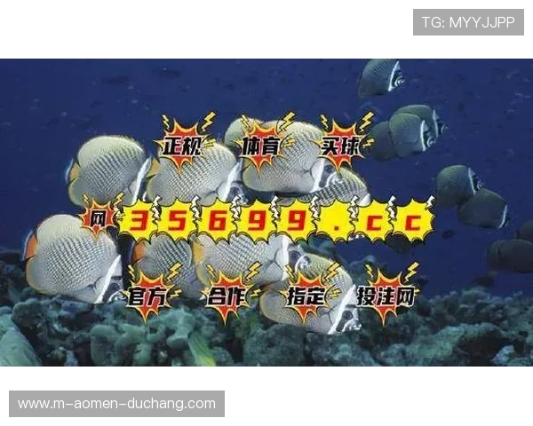 bg视讯各大平台用户评价与反馈汇总，真实体验大揭秘